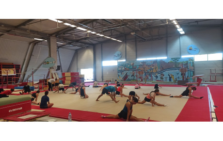 Gymnastique